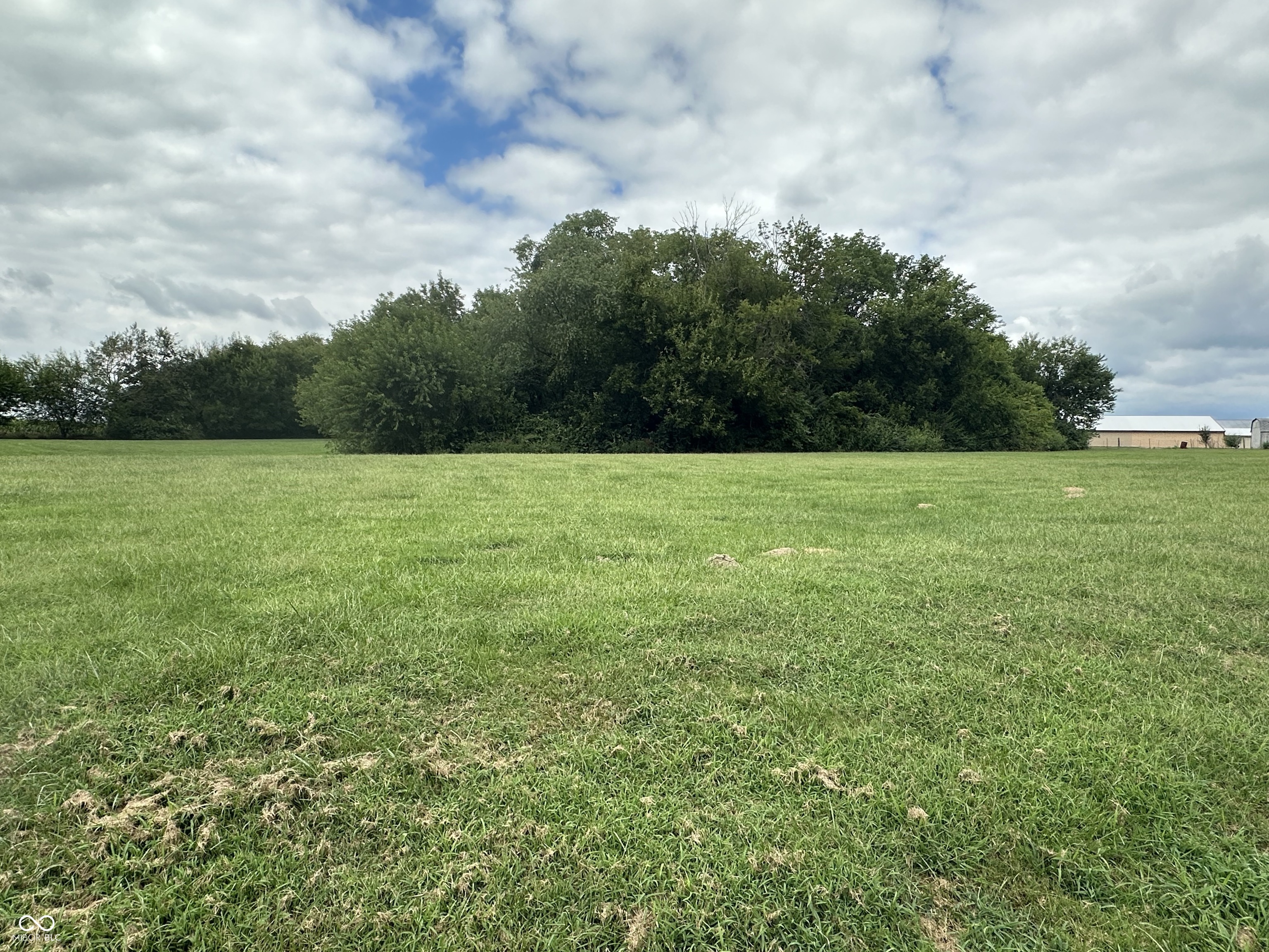 10406 Hodge Road Clayton, IN 46118 - Photo 2 of 5