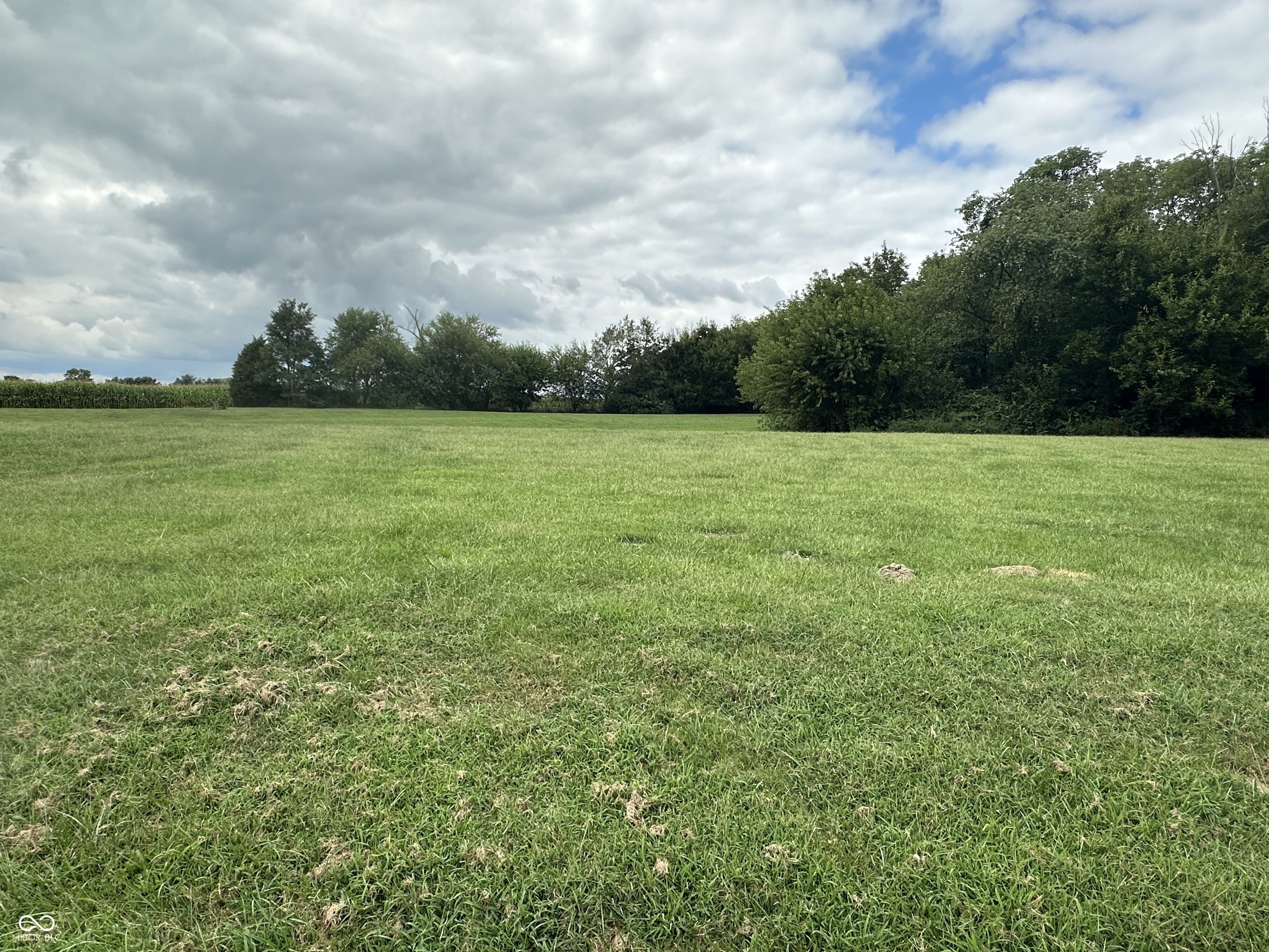 10406 Hodge Road Clayton, IN 46118 - Photo 3 of 5