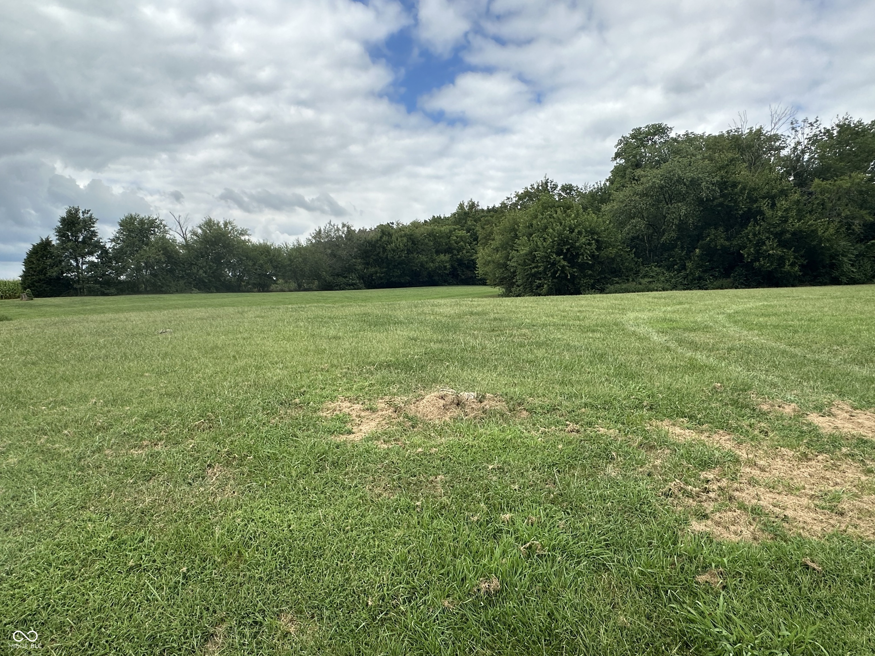 10406 Hodge Road Clayton, IN 46118 - Photo 4 of 5