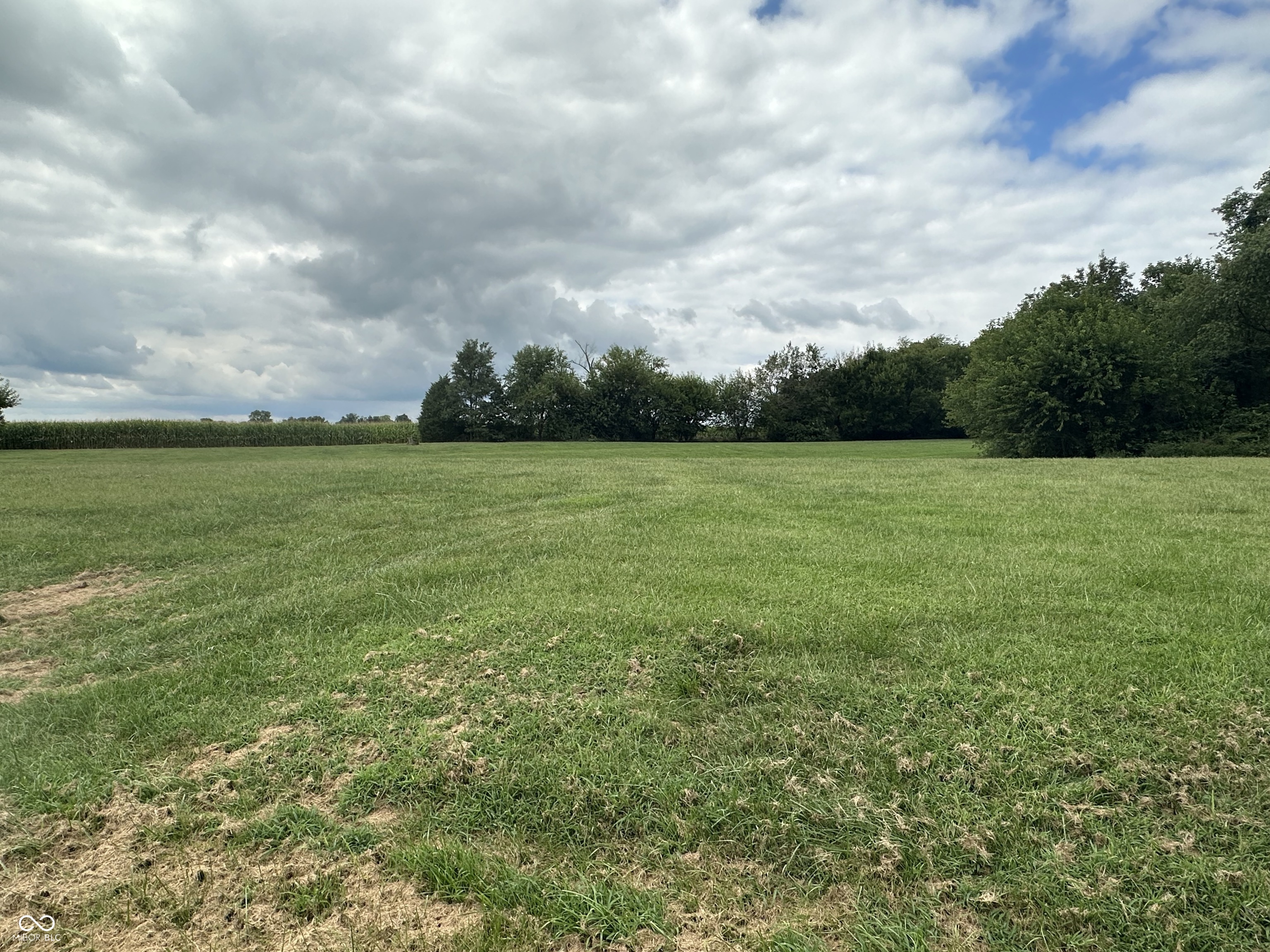 10406 Hodge Road Clayton, IN 46118 - Photo 5 of 5