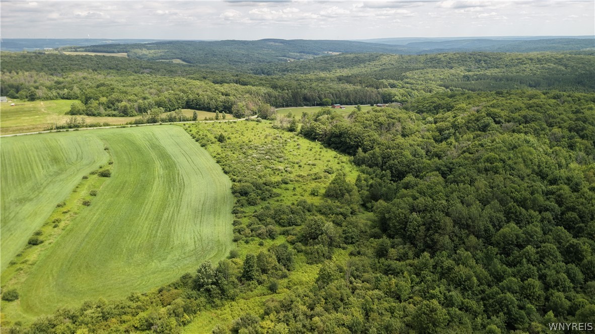 9525 Dewey Road New Hudson, NY 14714 - Photo 6 of 11 Gallery Image 6