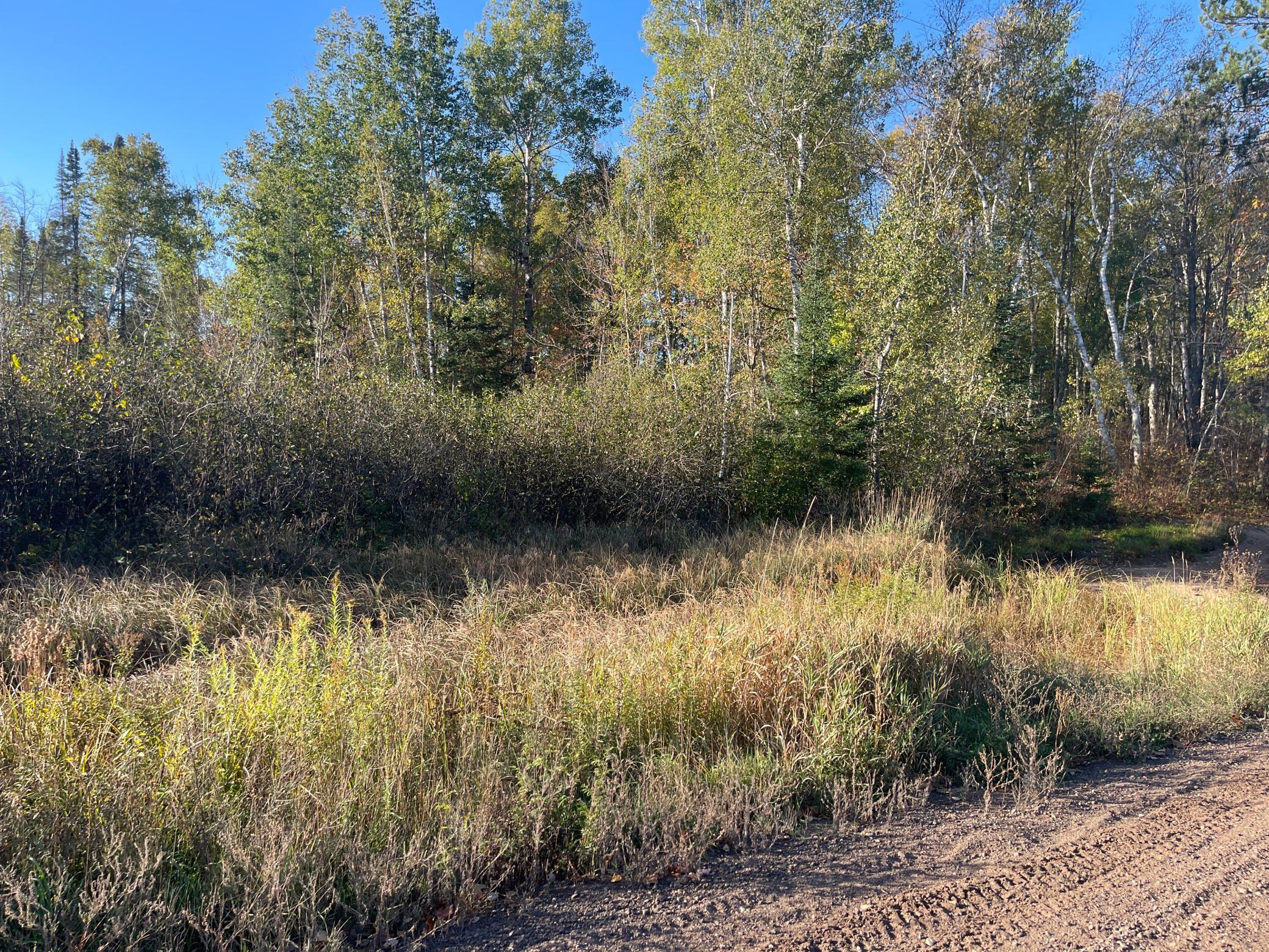 Tbd-2 Oak Leaf Road Kerrick, MN 55756 - Photo 6 of 16