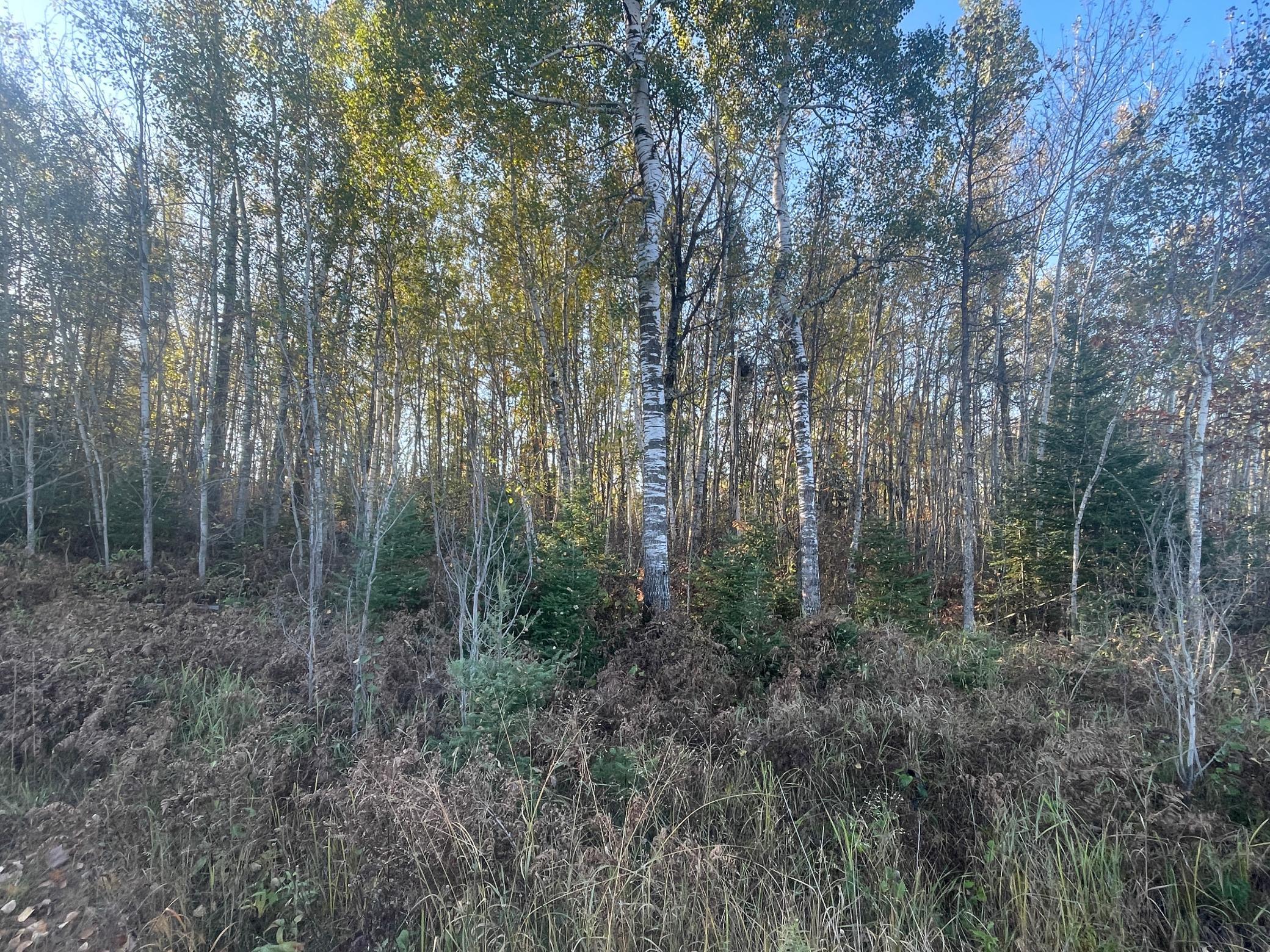 Tbd-2 Oak Leaf Road Kerrick, MN 55756 - Photo 7 of 16