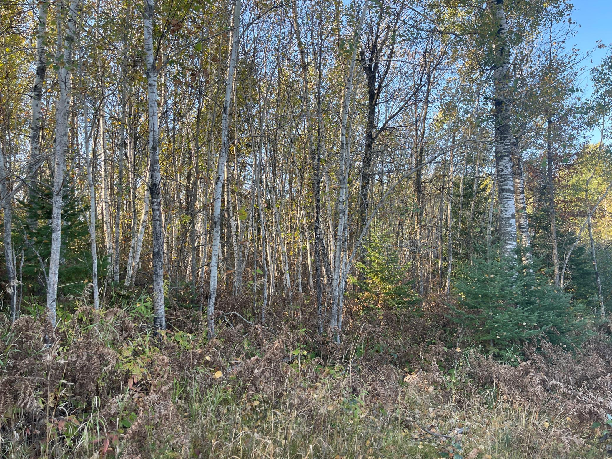 Tbd-2 Oak Leaf Road Kerrick, MN 55756 - Photo 8 of 16