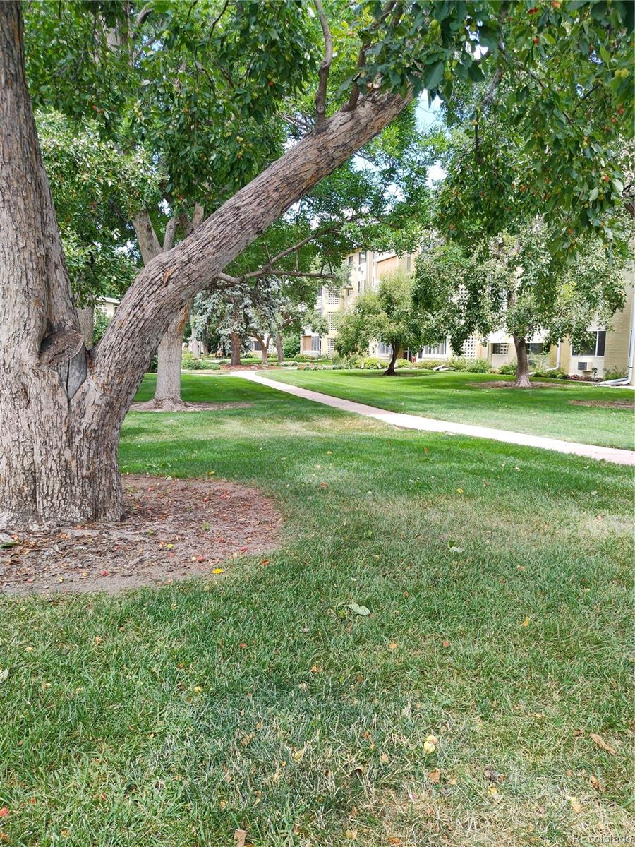 720 South Clinton Street, Unit B1 Denver, CO 80247 - Photo 13 of 19