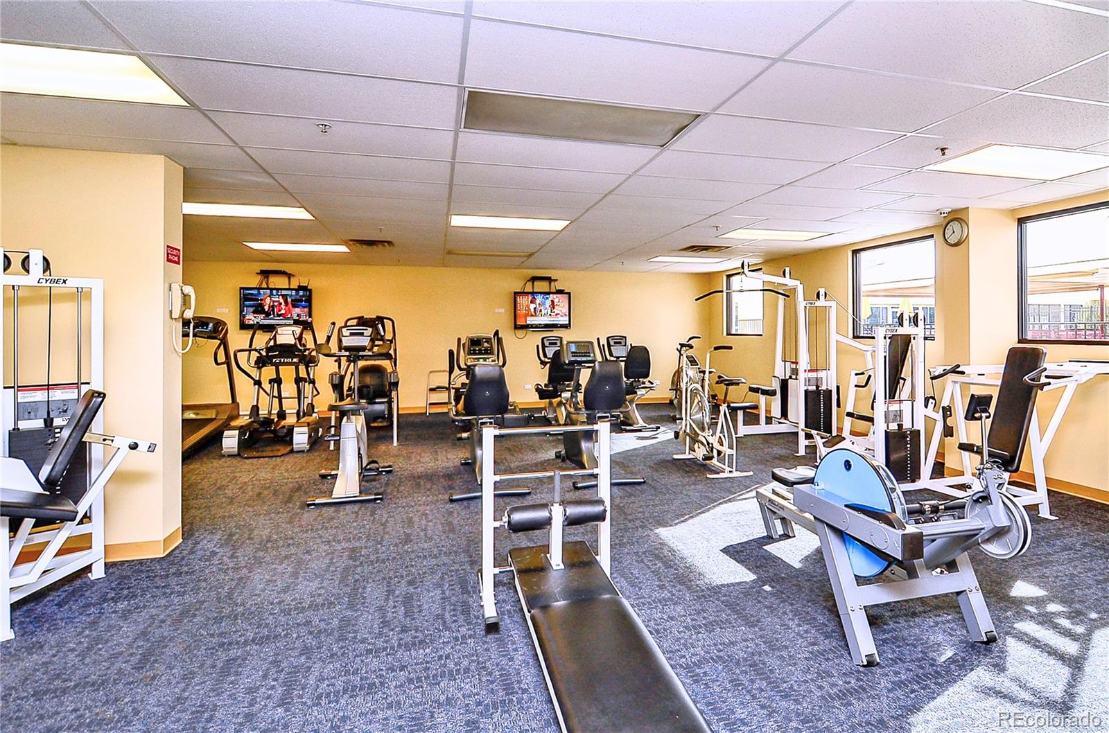 720 South Clinton Street, Unit B1 Denver, CO 80247 - Photo 17 of 19