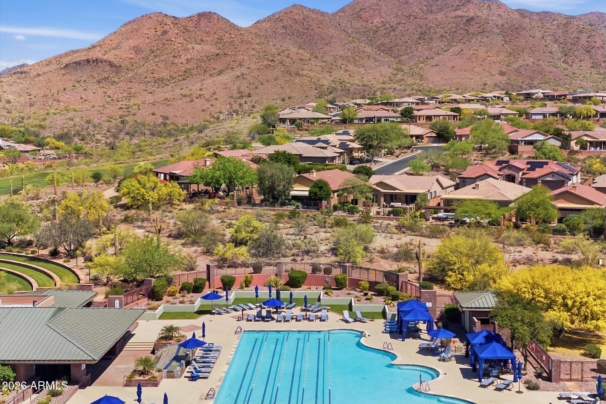 40118 North Lytham Way Phoenix, AZ 85086 - Photo 3 of 40 Community pool and views