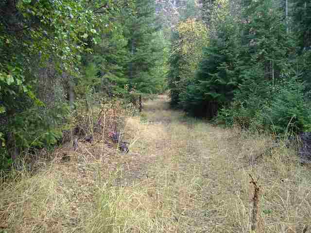 0 Cleveland Mine Road Hunters, WA 99137 - Photo 2 of 9