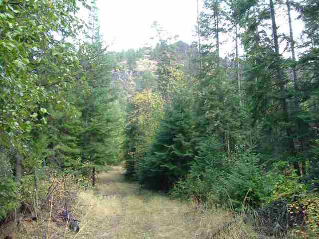 0 Cleveland Mine Road Hunters, WA 99137 - Photo 3 of 9