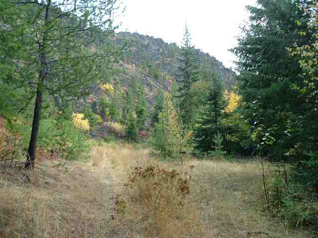 0 Cleveland Mine Road Hunters, WA 99137 - Photo 5 of 9