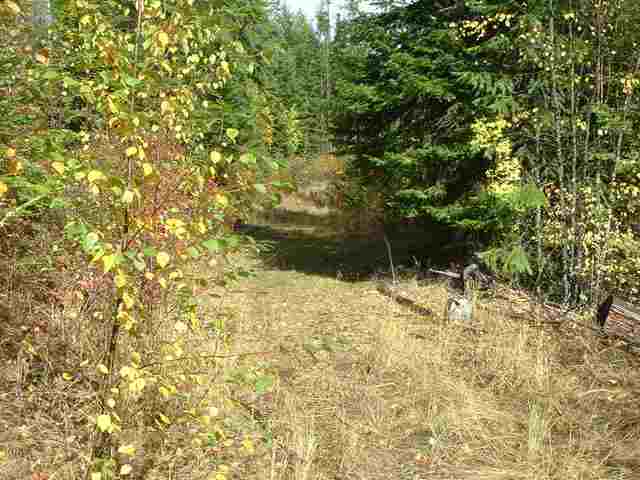 0 Cleveland Mine Road Hunters, WA 99137 - Photo 6 of 9