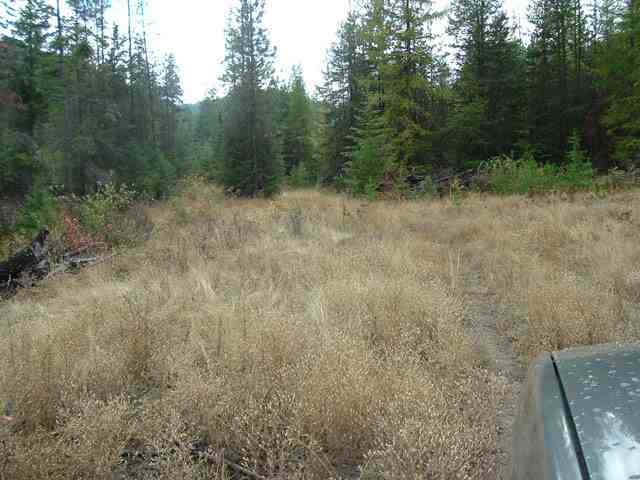 0 Cleveland Mine Road Hunters, WA 99137 - Photo 8 of 9