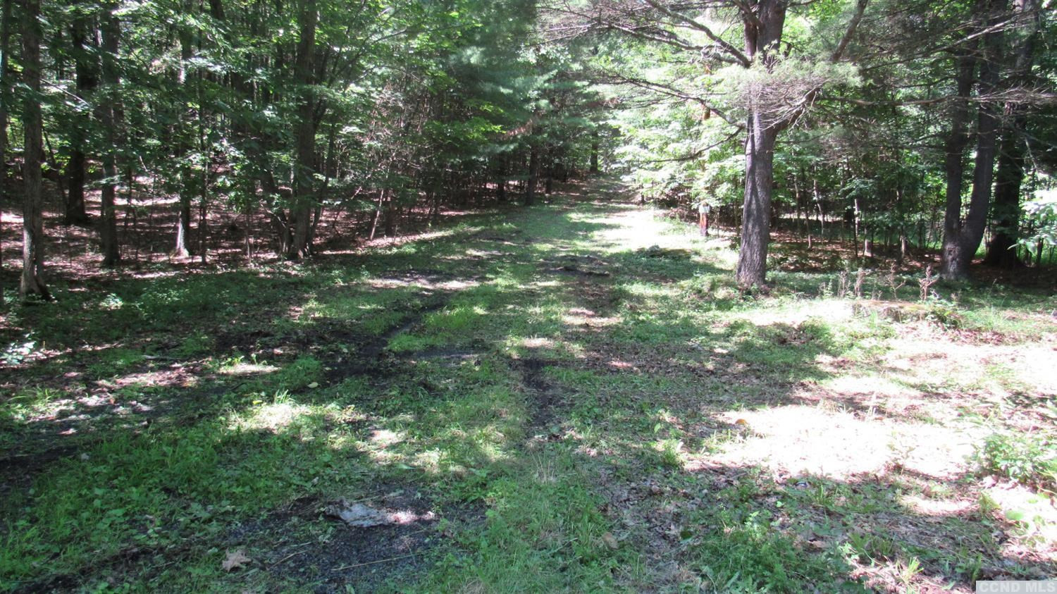 187 Deyo Road Cairo, NY 12058 - Photo 1 of 5 Photo 1