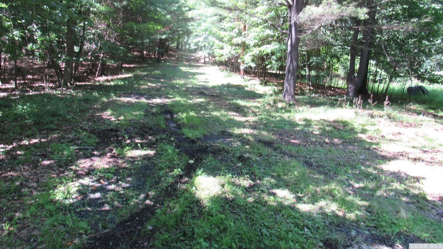 187 Deyo Road Cairo, NY 12058 - Photo 3 of 5 Photo 3
