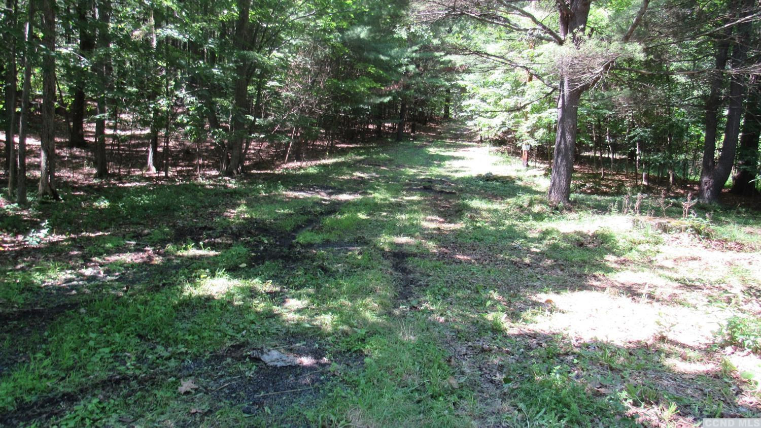 187 Deyo Road Cairo, NY 12058 - Photo 5 of 5 Photo 5