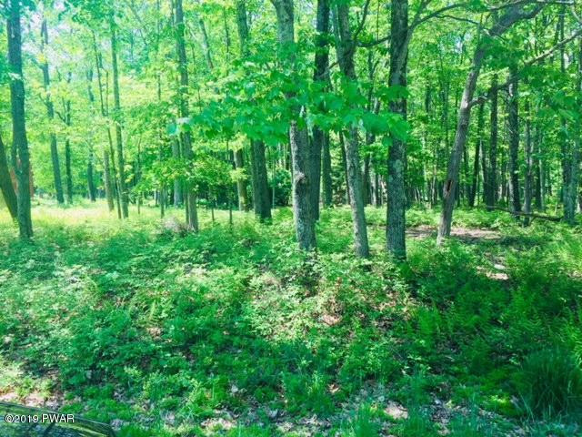 Lot 8 Prompton Road Honesdale, PA 18431 - Photo 3 of 6
