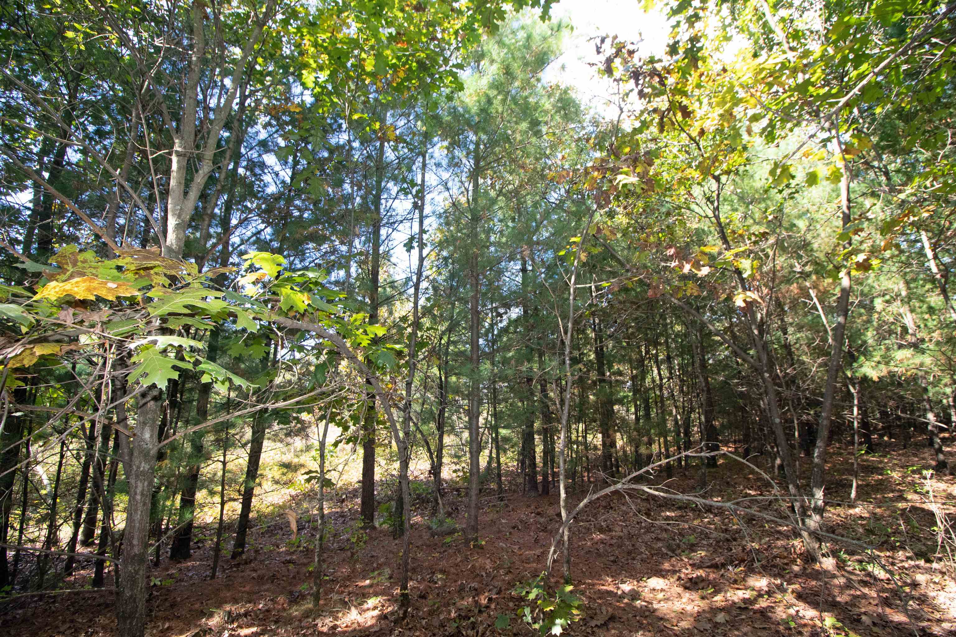 Lot 1 White Pine Spring Green Spring Green, WI 53588 - Photo 21 of 25 Gallery Image 21