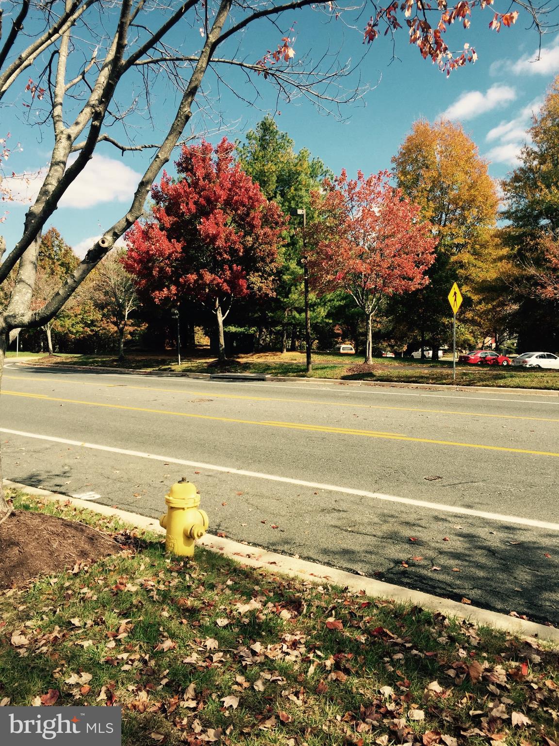 2701 Summers Ridge Drive Odenton, MD 21113 - Photo 39 of 50