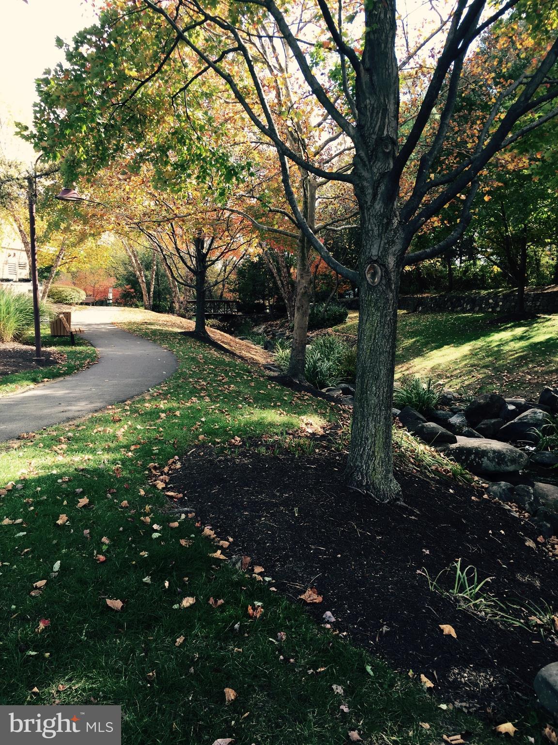 2701 Summers Ridge Drive Odenton, MD 21113 - Photo 41 of 50 a view of yard with tree