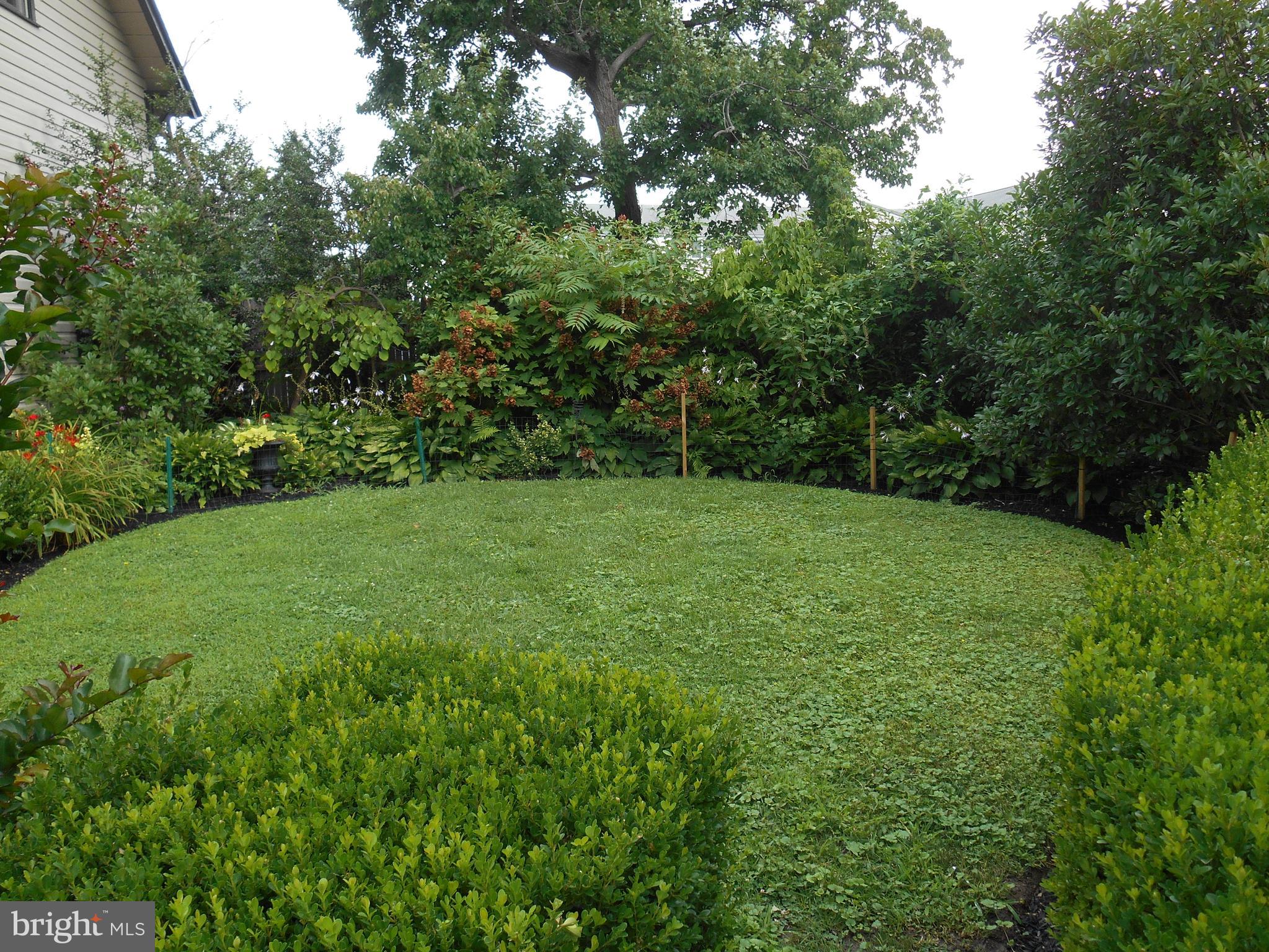 220 Church Road Ardmore, PA 19003 - Photo 50 of 53 Garden area