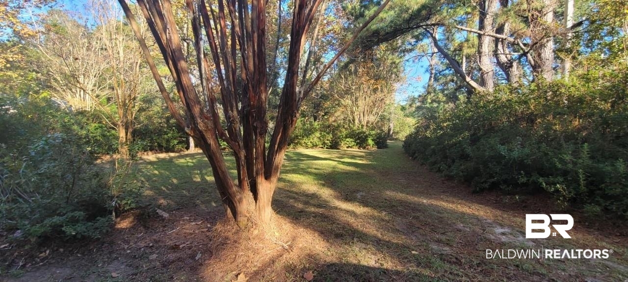 19091 Thompson Hall Road Fairhope, AL 36532 - Photo 30 of 38 Front Yard