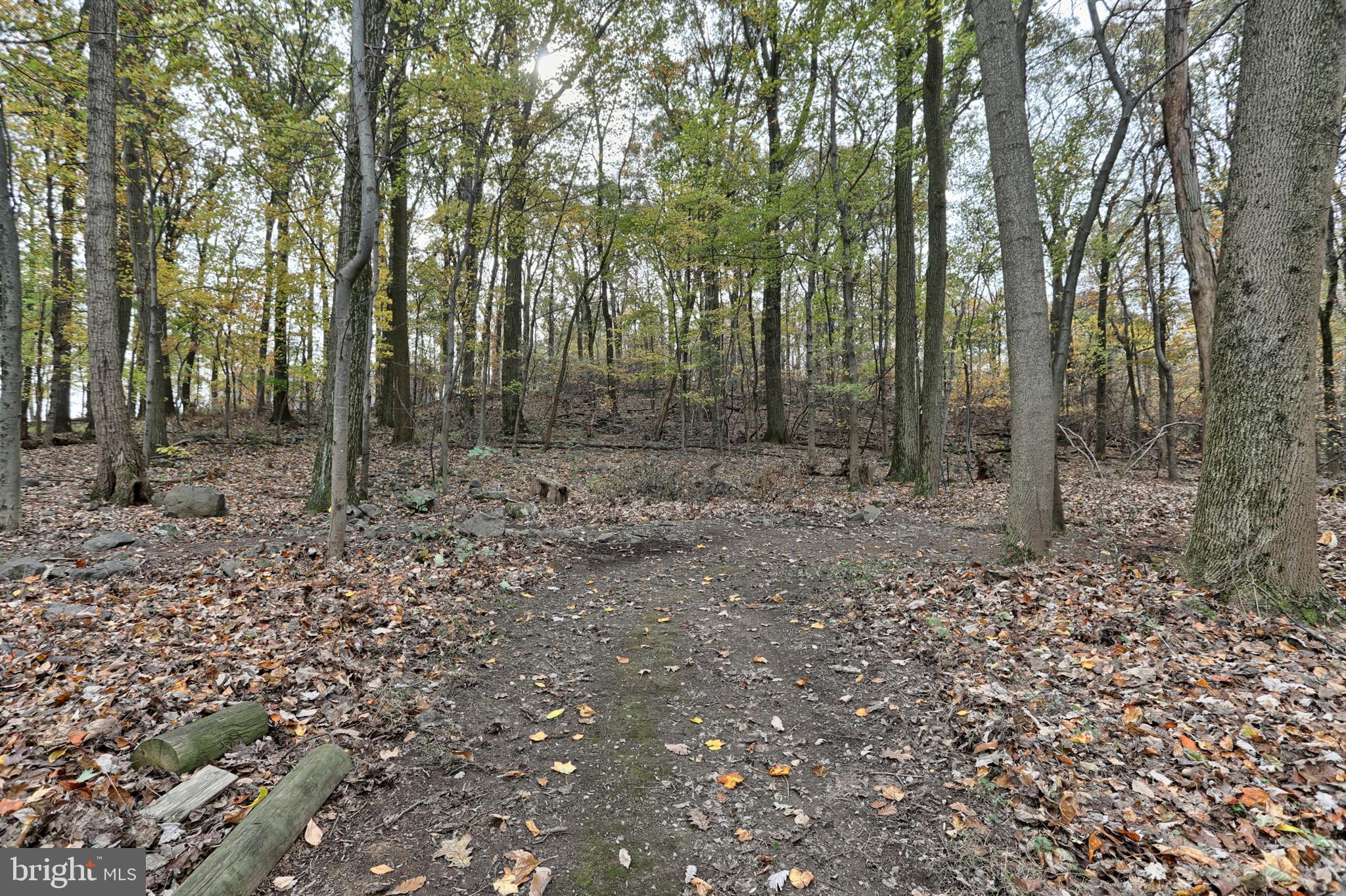 2248 Schoolhouse Road Middletown, PA 17057 - Photo 31 of 37 Walking path into private woods