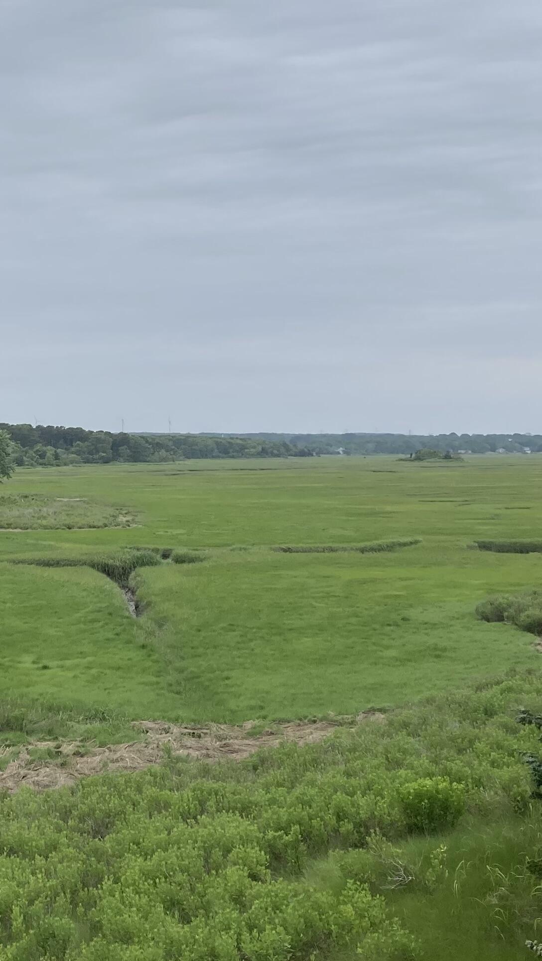 29 Boulder Brook Road East Sandwich, MA 02537 - Photo 57 of 58 IMG_5303