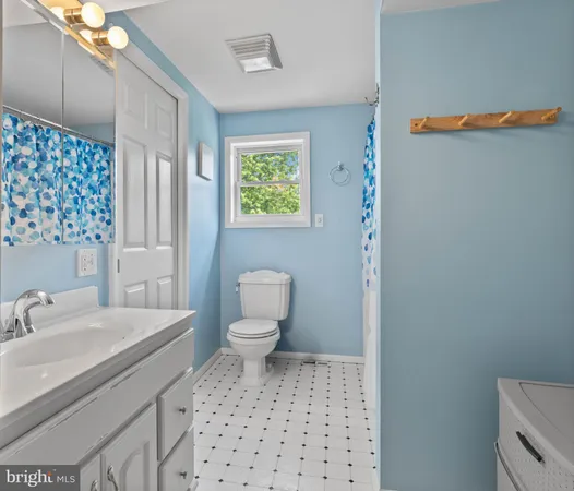 a bathroom with a sink a toilet and a shower