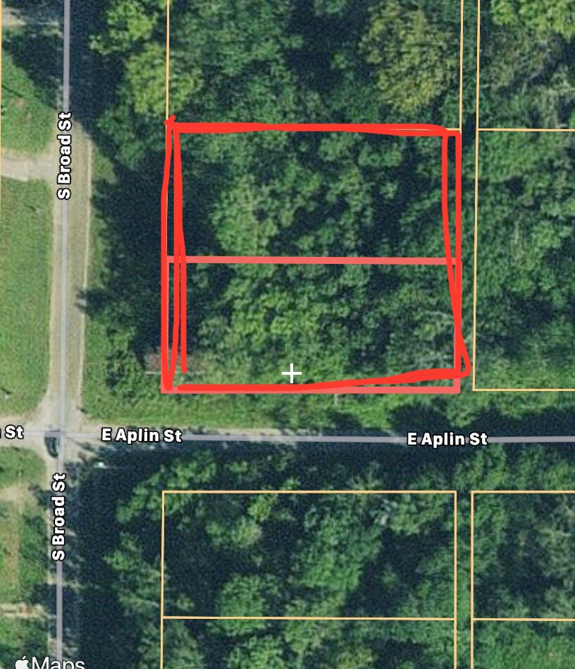 0 South Broad Street Samson, AL 36477 - Photo 10 of 10