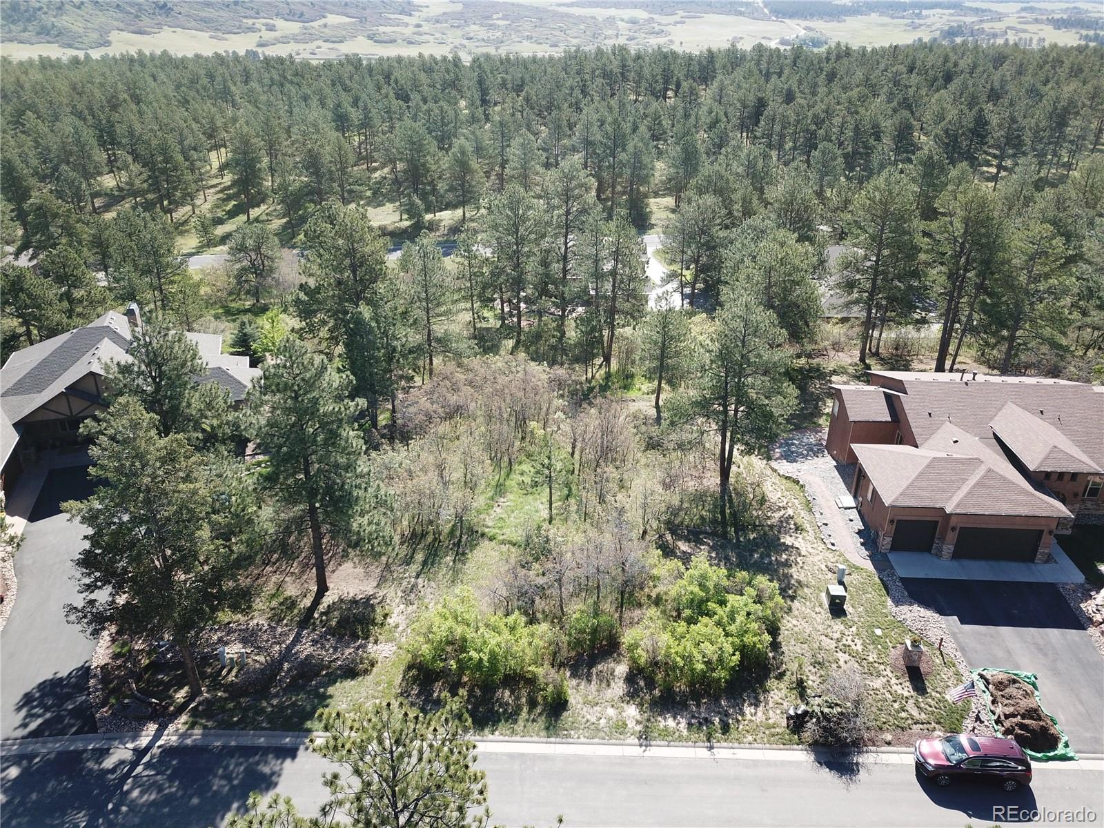 8038 Monarch Road Larkspur, CO 80118 - Photo 5 of 15 Gallery Image 5