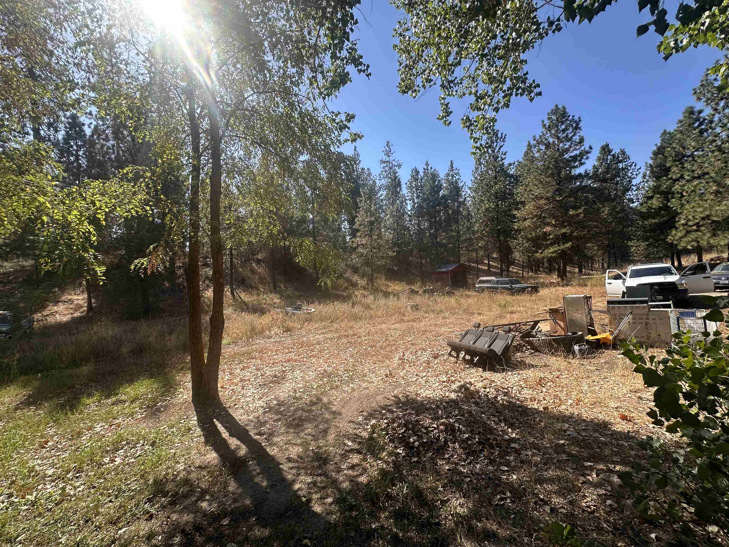 6442 Pascal Road Fruitland, WA 99129 - Photo 3 of 13