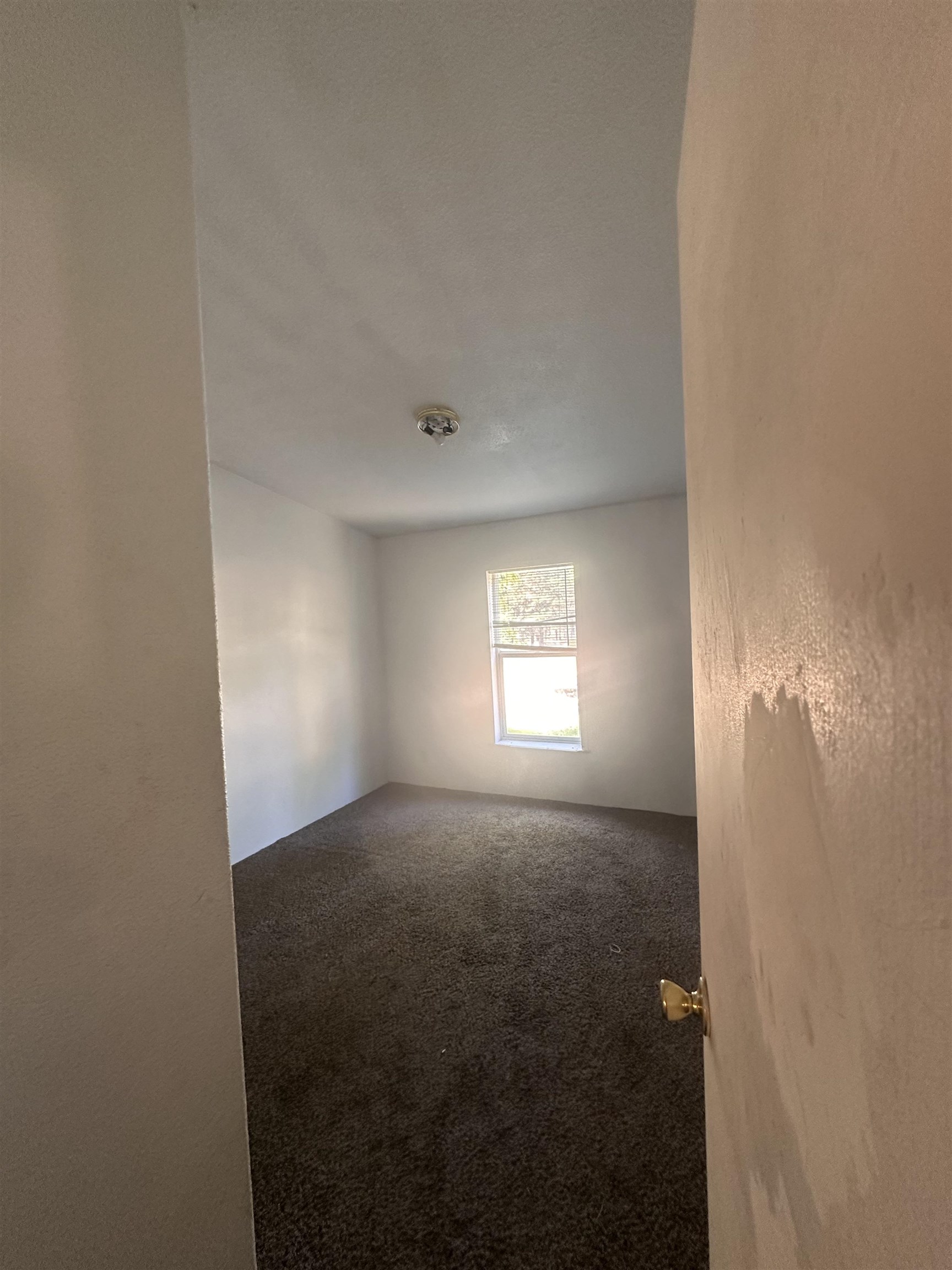 6442 Pascal Road Fruitland, WA 99129 - Photo 4 of 13