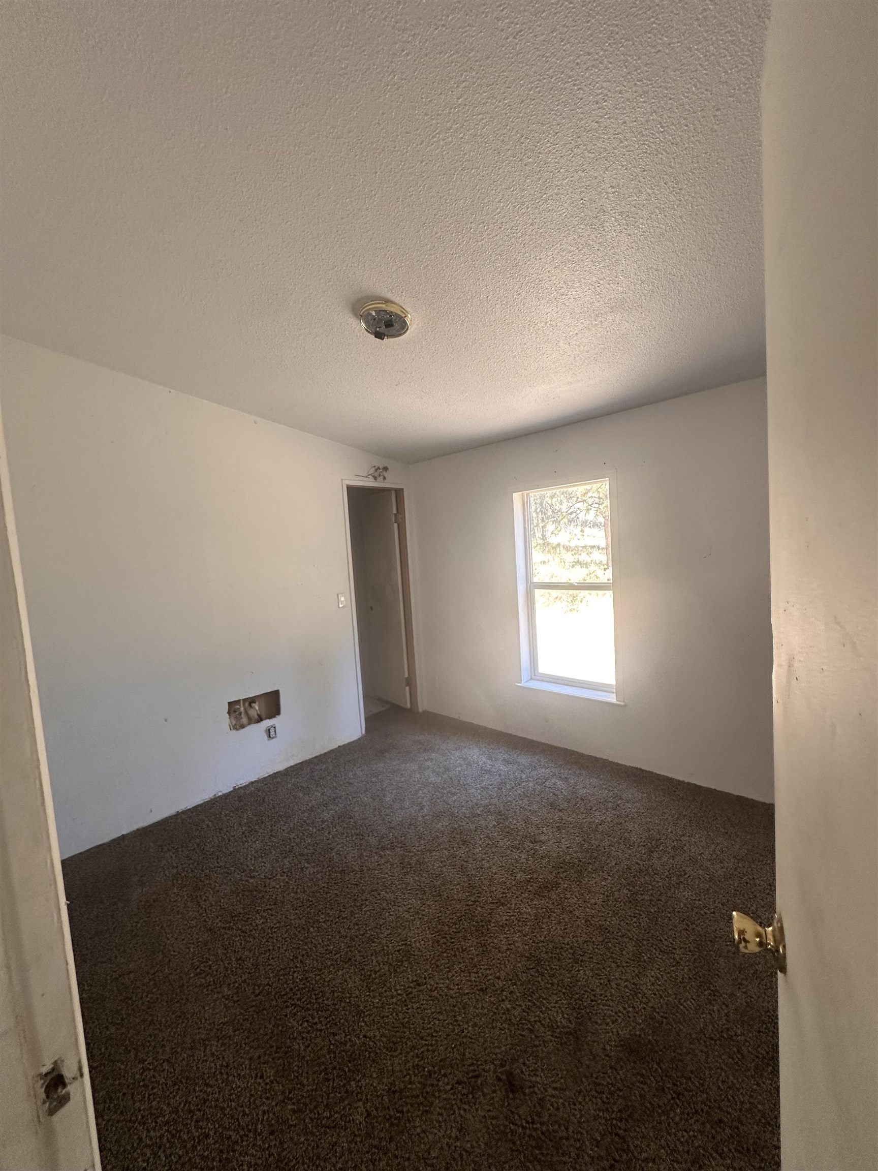 6442 Pascal Road Fruitland, WA 99129 - Photo 7 of 13