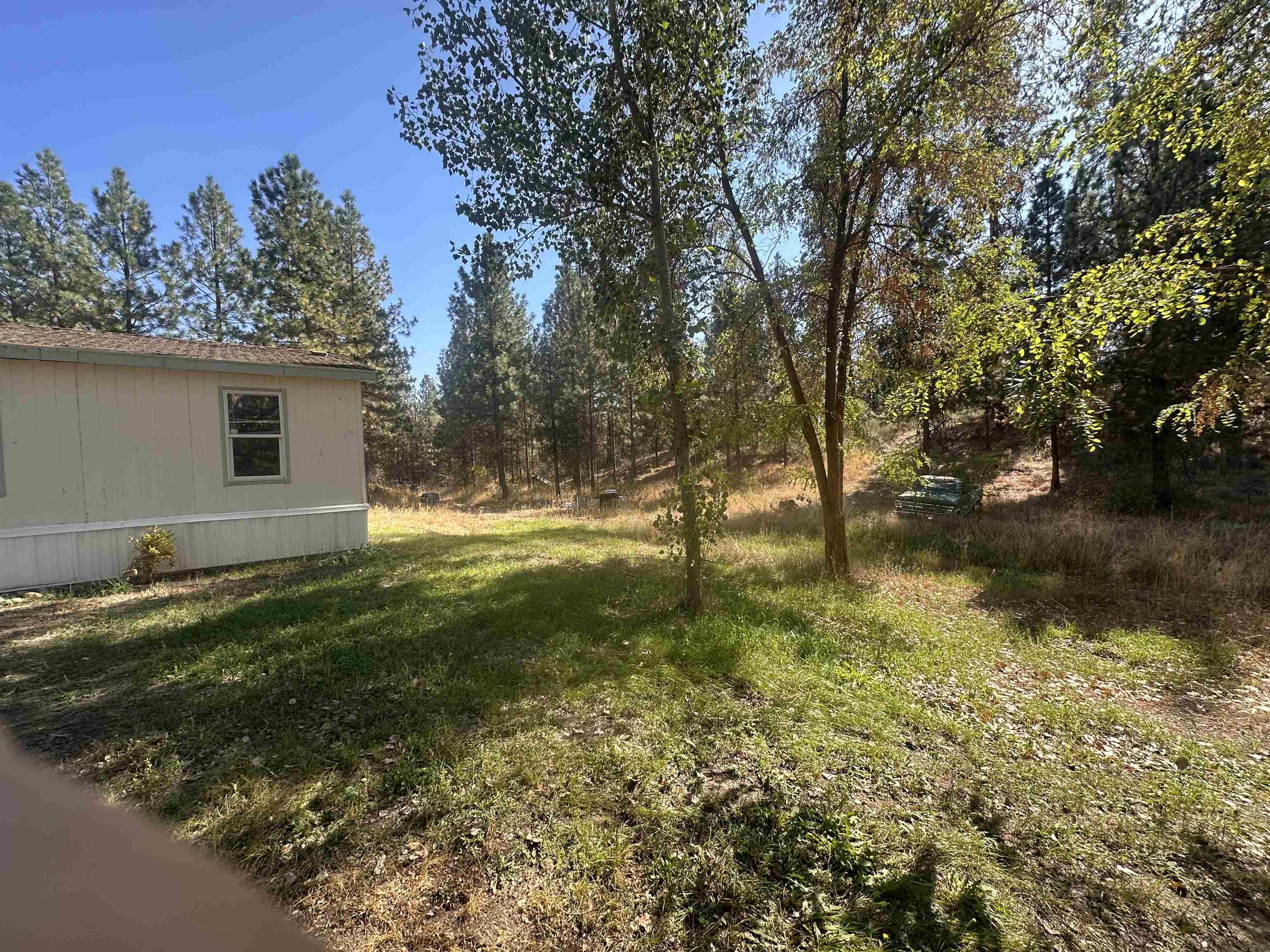 6442 Pascal Road Fruitland, WA 99129 - Photo 8 of 13