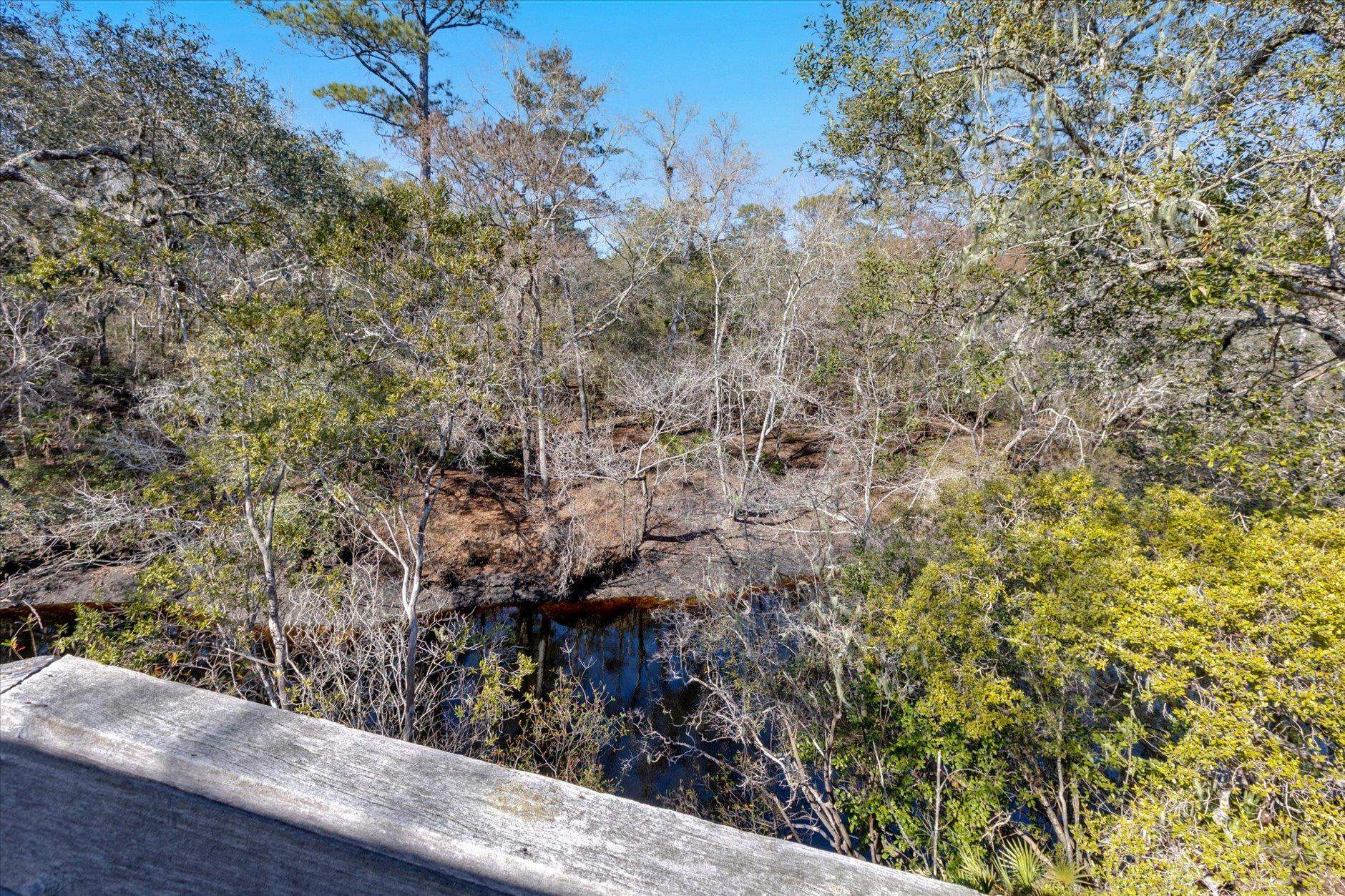 14 Lizard Lane Sopchoppy, FL 32358 - Photo 11 of 36