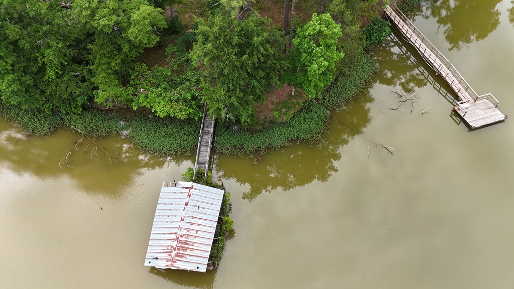 0 Hudspeth Drive Abbeville, AL 36310 - Photo 6 of 15