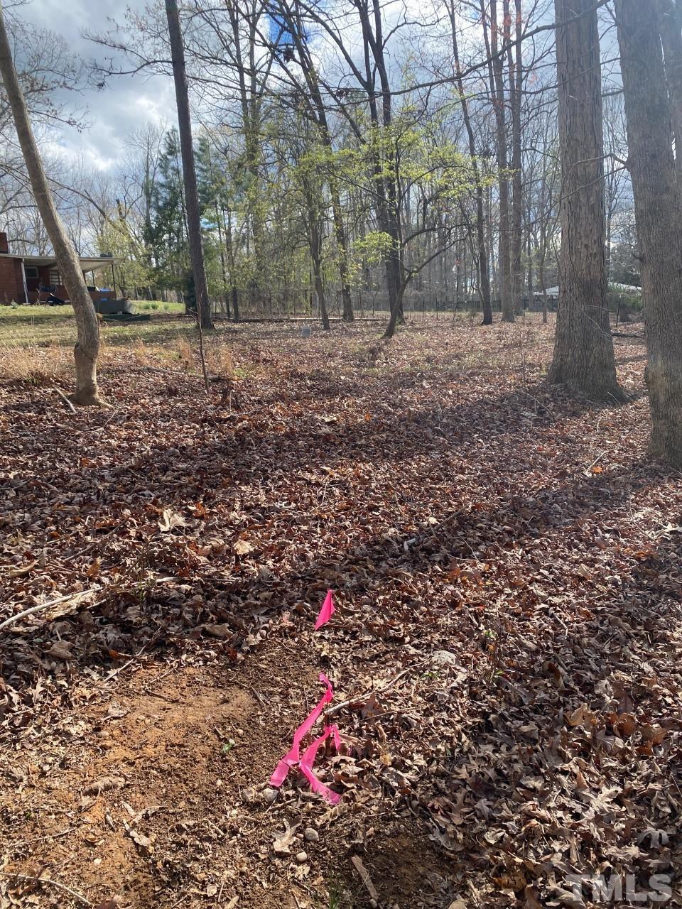 519 Goodwin Road Durham, NC 27712 - Photo 12 of 18 a backyard of a house with lots of green space