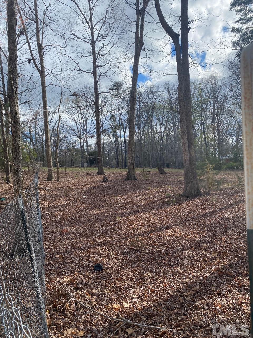519 Goodwin Road Durham, NC 27712 - Photo 13 of 18 a backyard of a house with lots of green space
