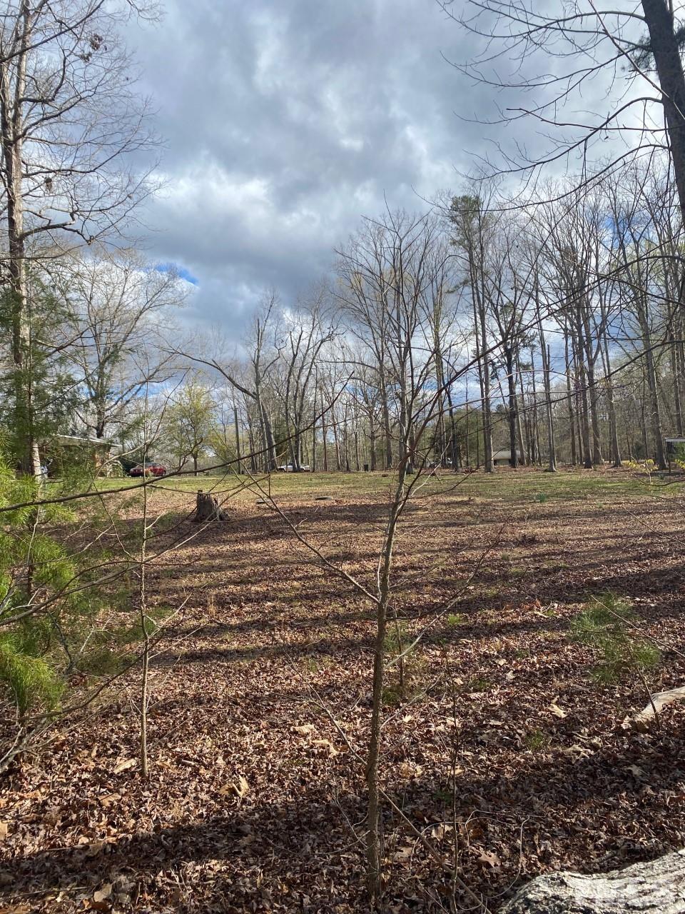 519 Goodwin Road Durham, NC 27712 - Photo 15 of 18 a view of dirt yard with green space