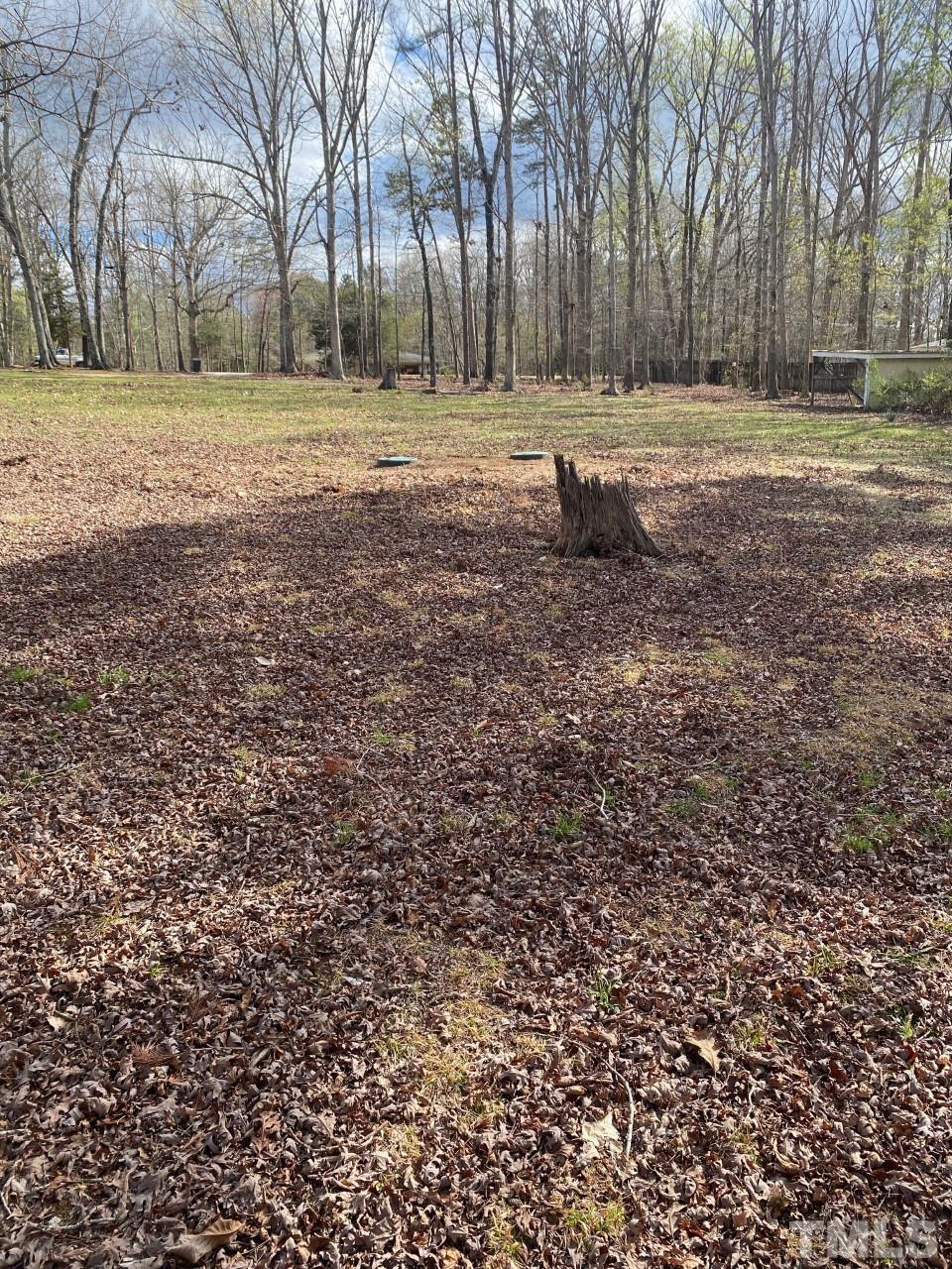 519 Goodwin Road Durham, NC 27712 - Photo 16 of 18 a fire hydrant in the middle of a field