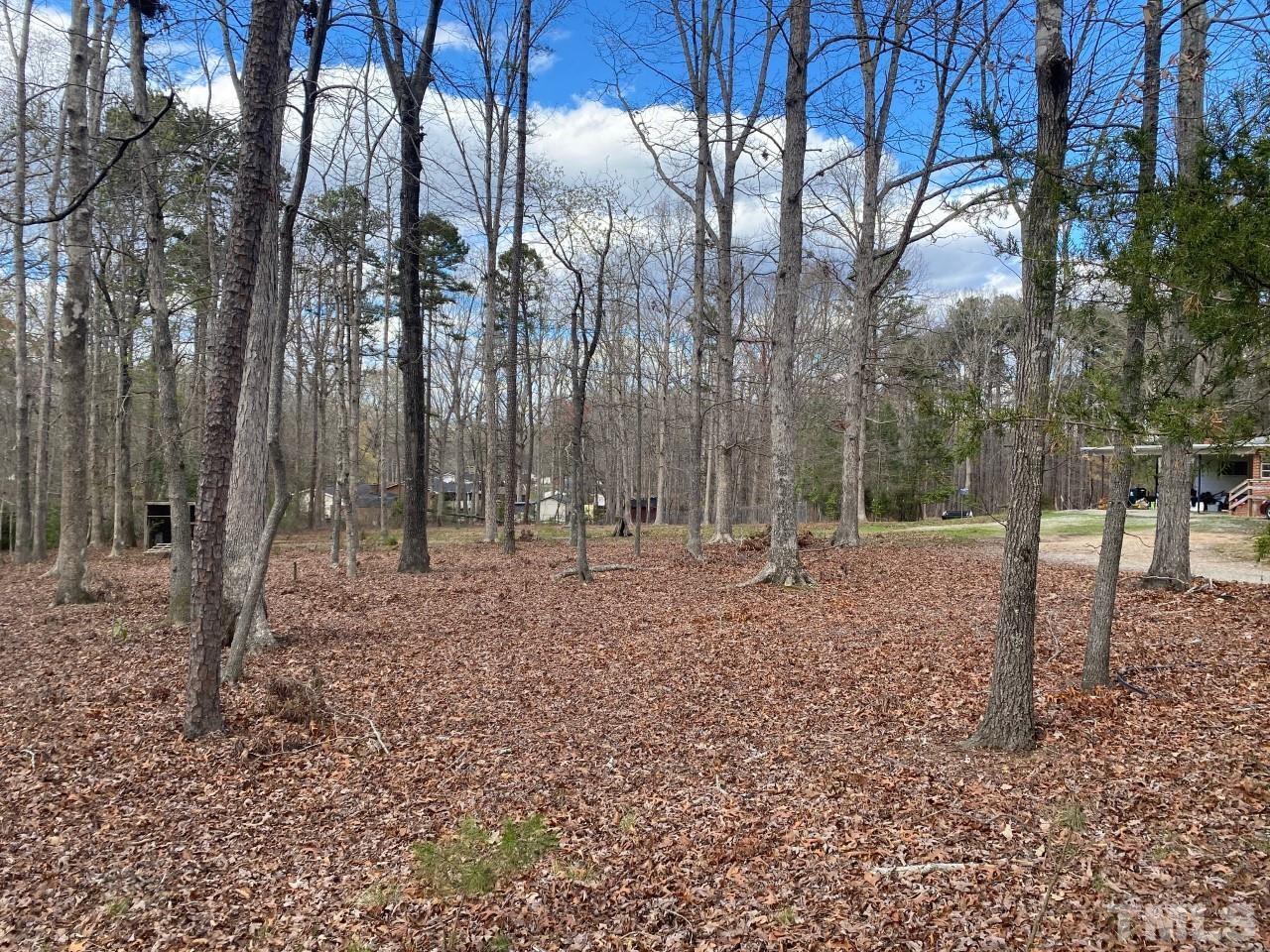 519 Goodwin Road Durham, NC 27712 - Photo 3 of 18 a backyard of a house with lots of green space