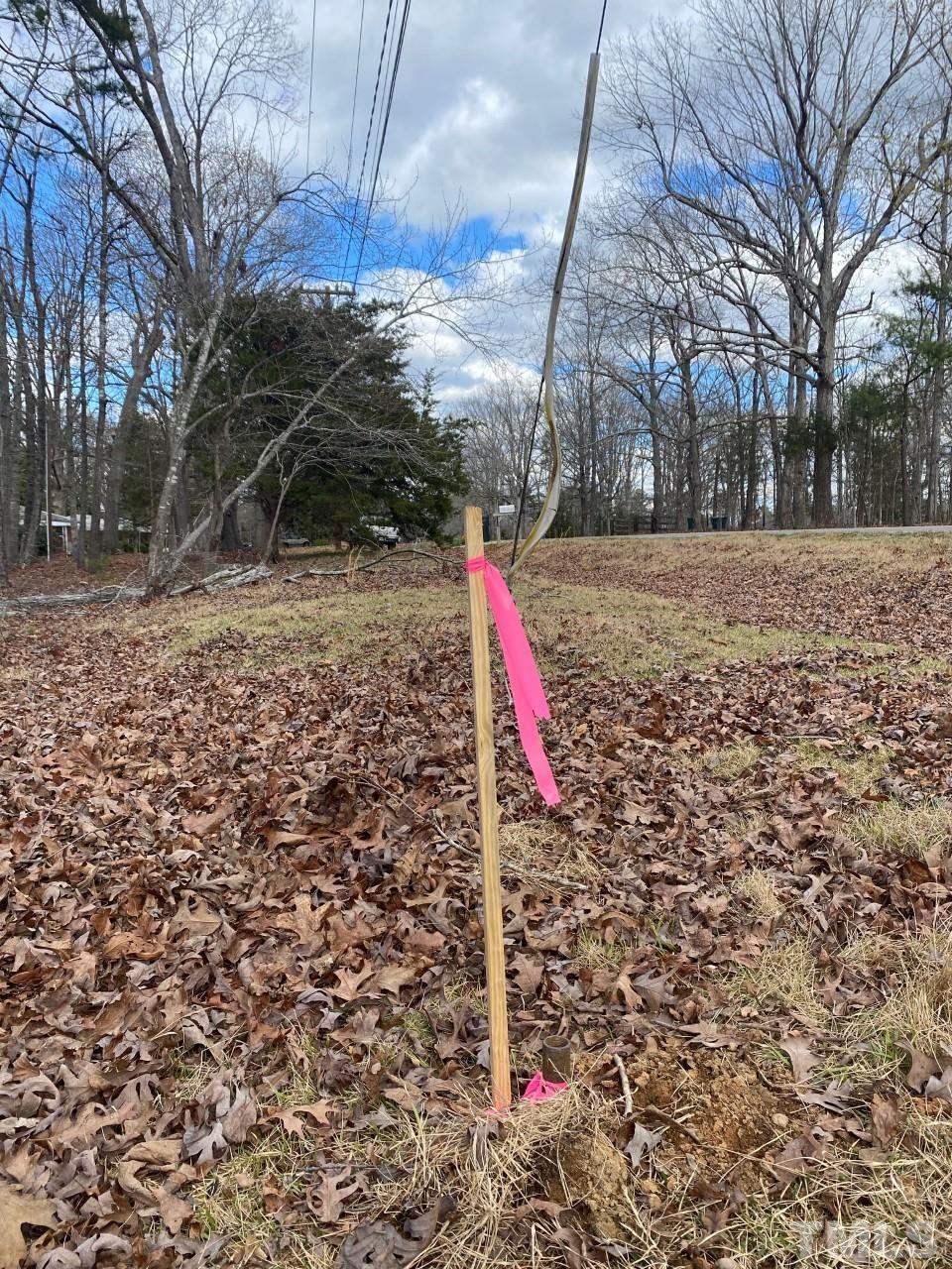 519 Goodwin Road Durham, NC 27712 - Photo 8 of 18 a flag is sitting in middle of forest
