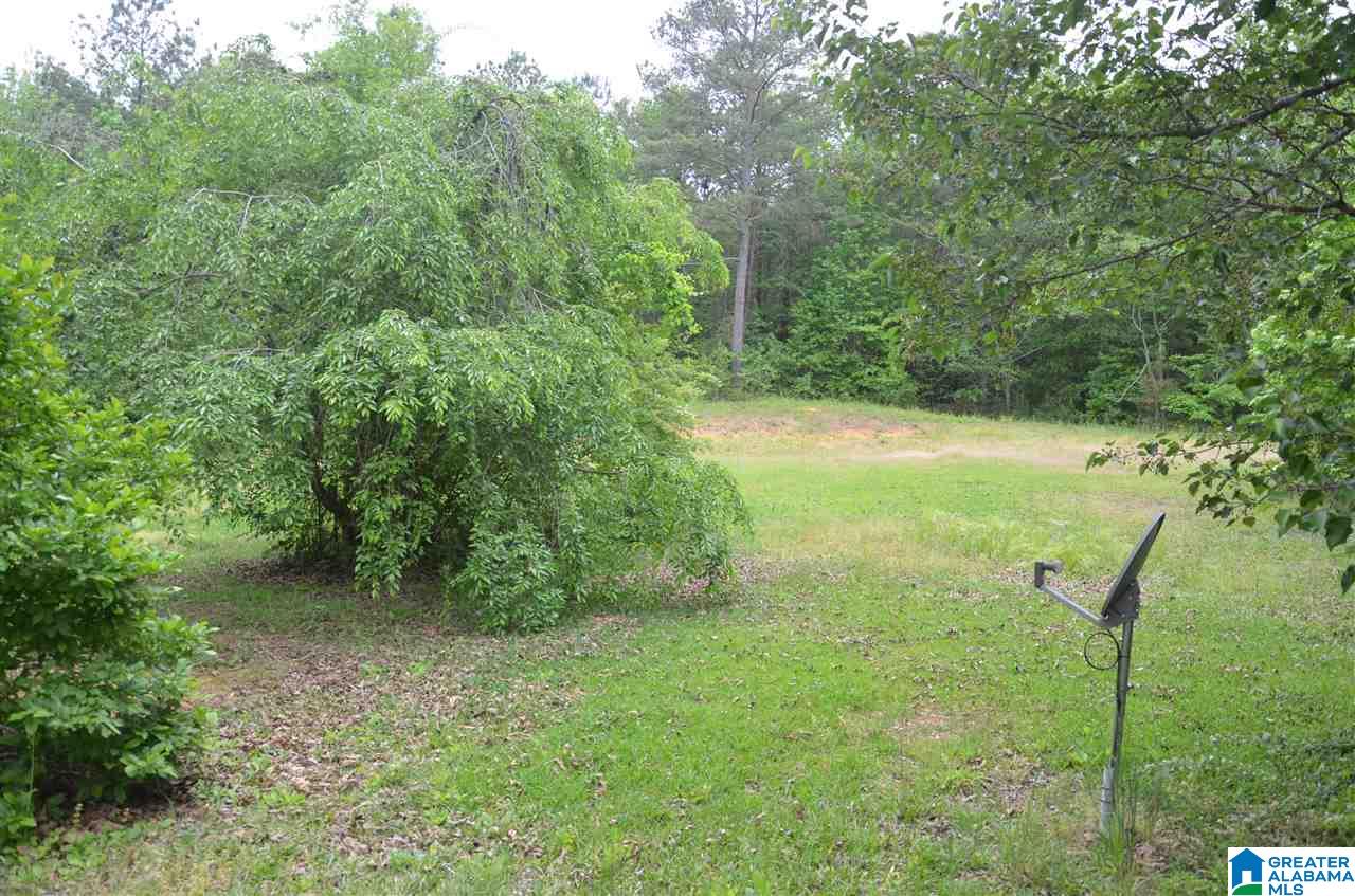 5081 Bluff Creek Ridge Adamsville, AL 35005 - Photo 3 of 28