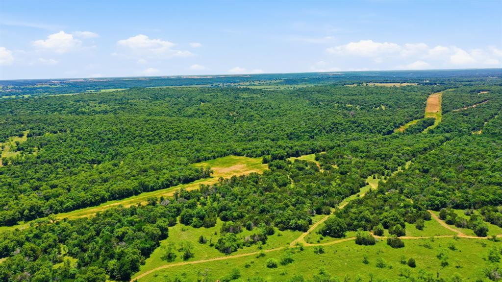 4320 Dobbs Valley Road Millsap, TX 76066 - Photo 27 of 40 a view of a green field with lots of bushes