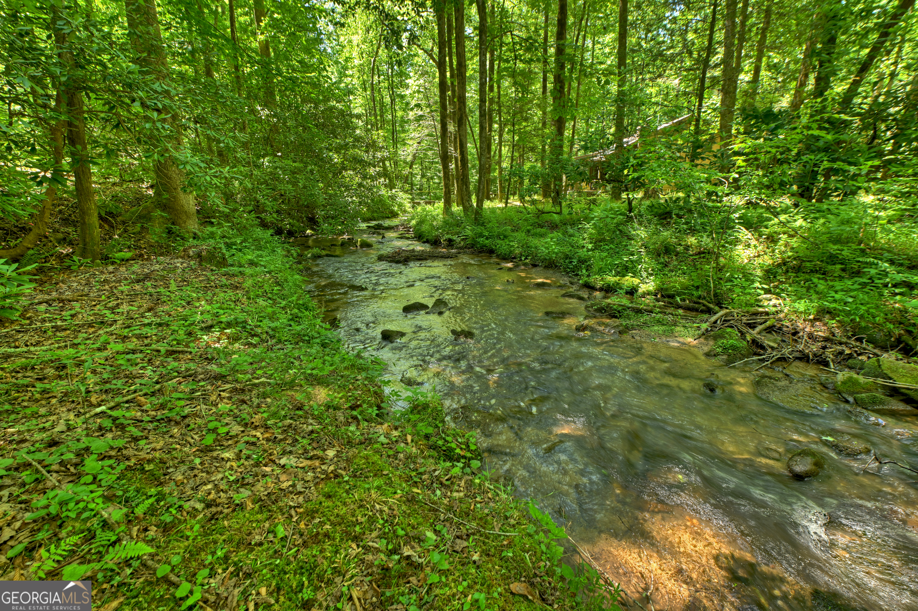373 Barnes Creek Road Ellijay, GA 30540 - Photo 13 of 41