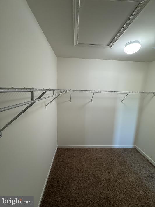 7806 Taggart Court Elkridge, MD 21075 - Photo 20 of 21 a view of a room with racks on the wall