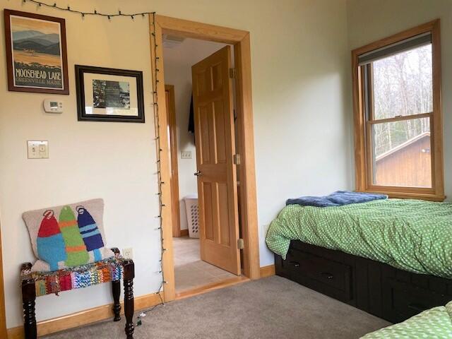 31 Wilson View Drive Greenville, ME 04441 - Photo 32 of 53 IMG_4931 2