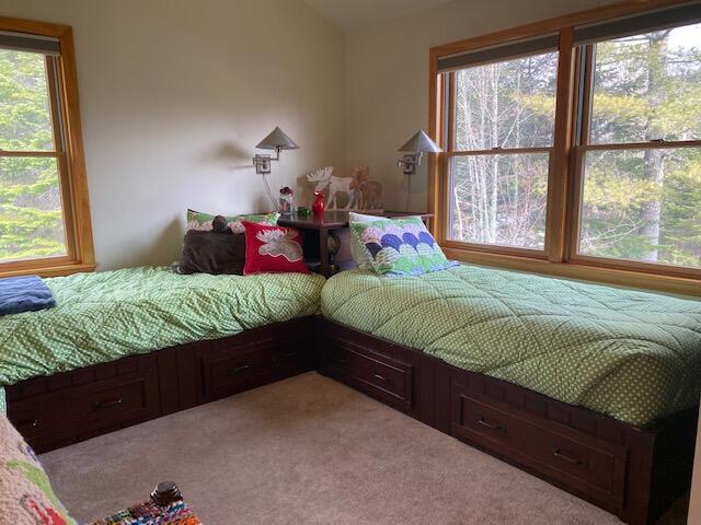 31 Wilson View Drive Greenville, ME 04441 - Photo 33 of 53 IMG_4930 2