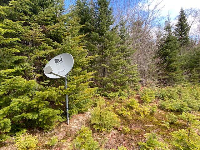 31 Wilson View Drive Greenville, ME 04441 - Photo 49 of 53 IMG_4978 2