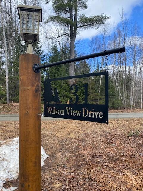31 Wilson View Drive Greenville, ME 04441 - Photo 53 of 53 IMG_4991 2